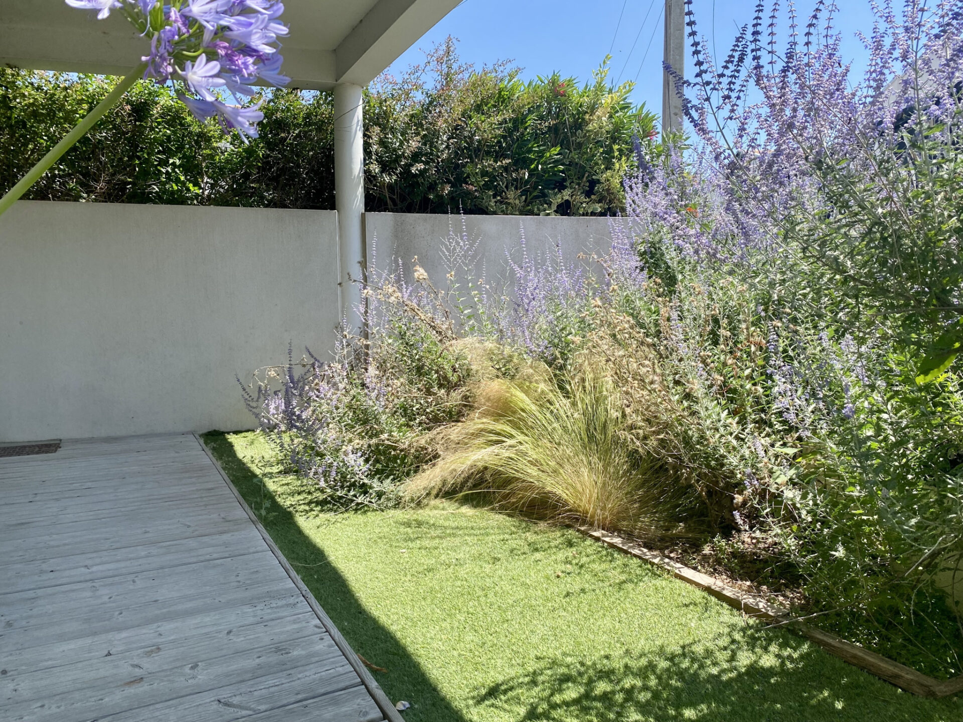 A PROXIMITE IMMEDIATE DU CENTRE VILLE - TYPE 2 AVEC JARDINET PRIVATIF – Image 6