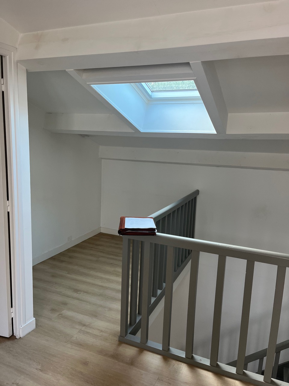 CENTRE-VILLE, JARDIN DES PLANTES – Image 11