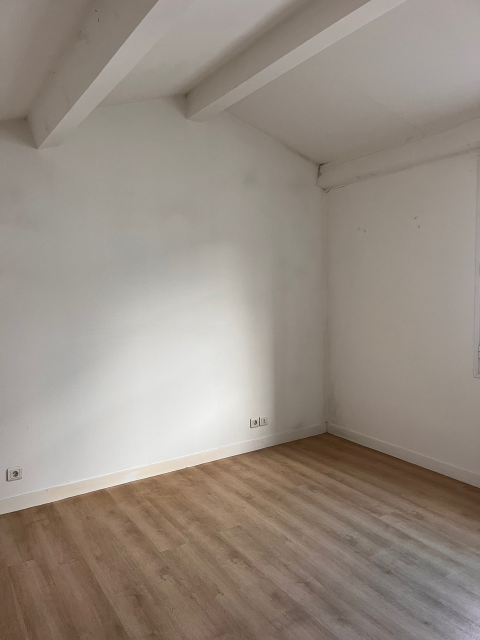 CENTRE-VILLE, JARDIN DES PLANTES – Image 6