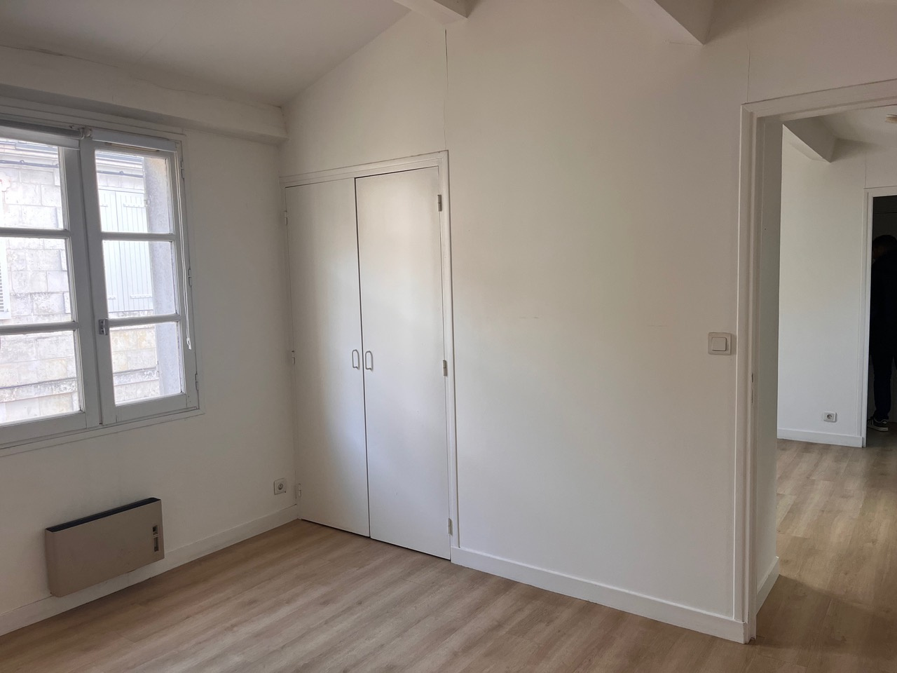 CENTRE-VILLE, JARDIN DES PLANTES – Image 4