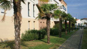 T2 quartier Saint Eloi La Rochelle
