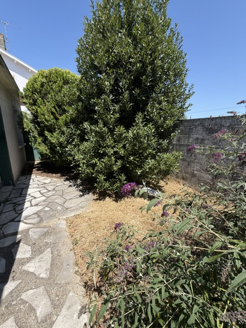 MAISON LA PALLICE